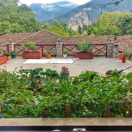 Eufrosini Guesthouse Metsovo Eksteriør billede