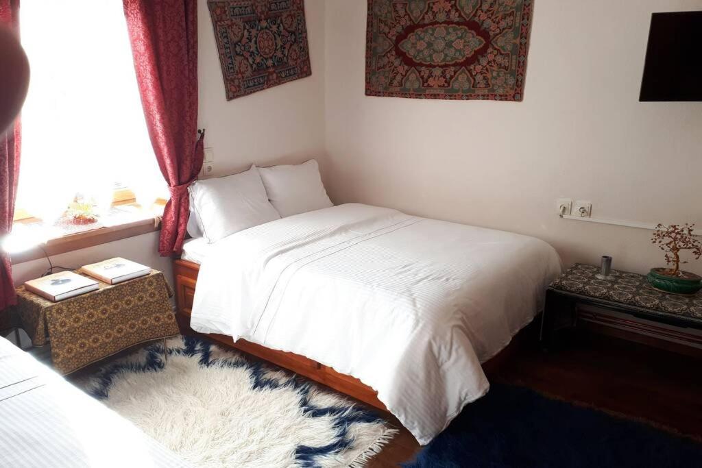 Eufrosini Guesthouse Metsovo Eksteriør billede
