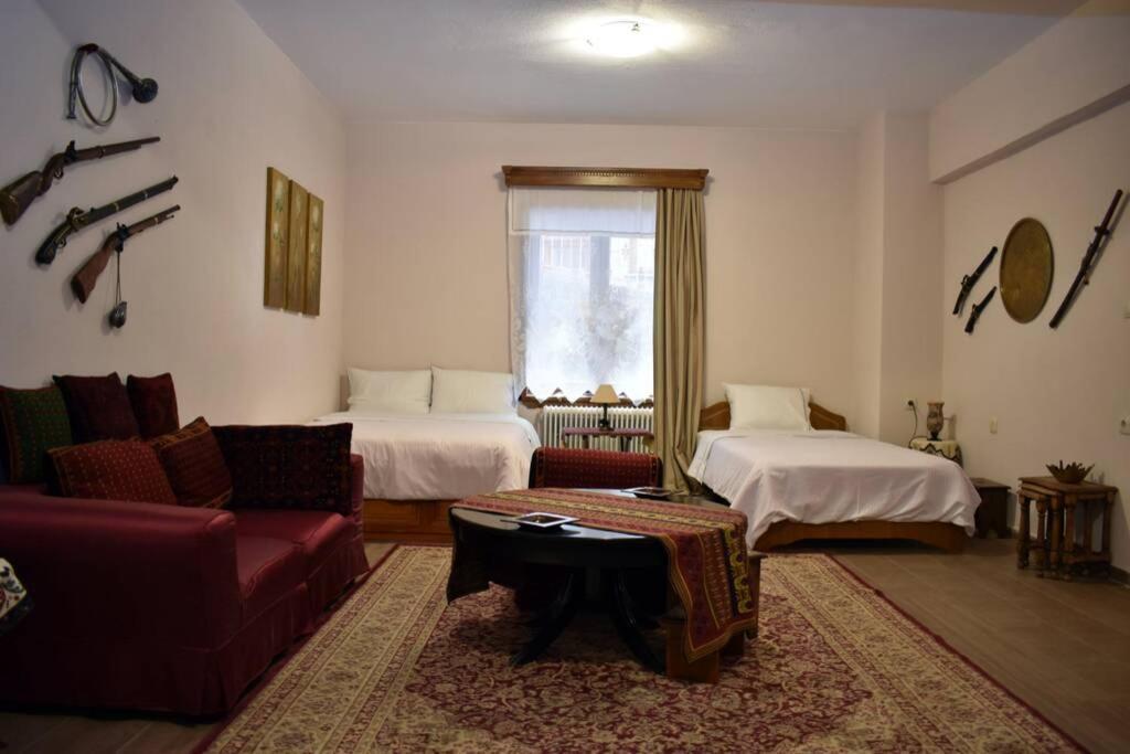 Eufrosini Guesthouse Metsovo Eksteriør billede