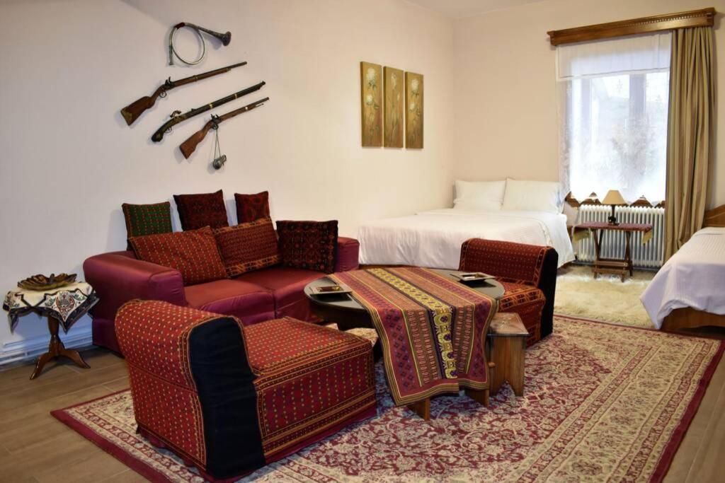 Eufrosini Guesthouse Metsovo Eksteriør billede