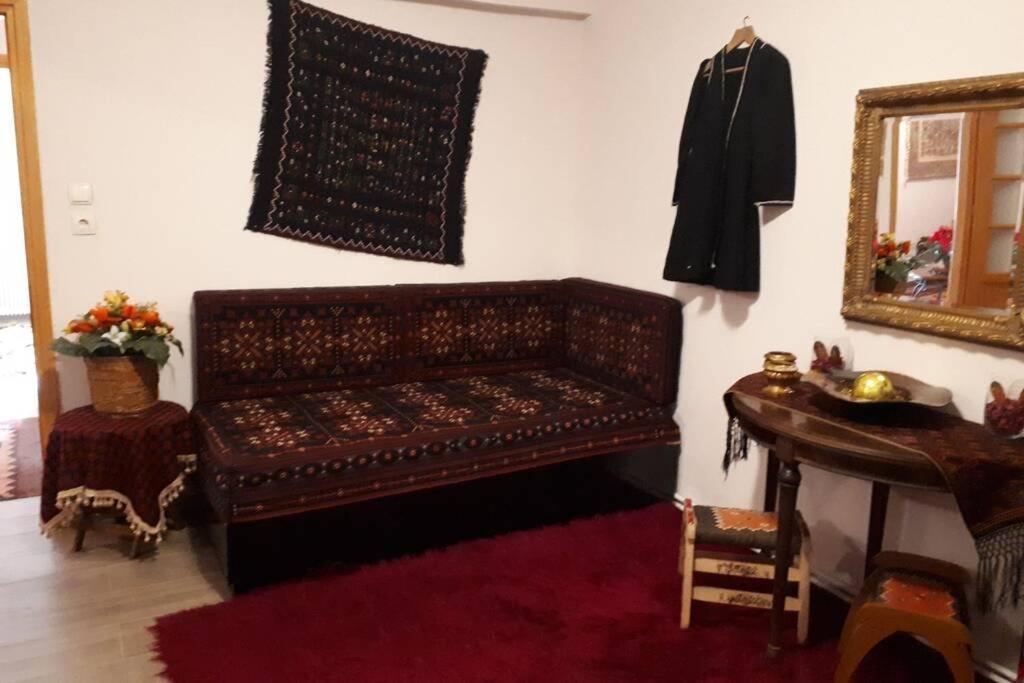 Eufrosini Guesthouse Metsovo Eksteriør billede