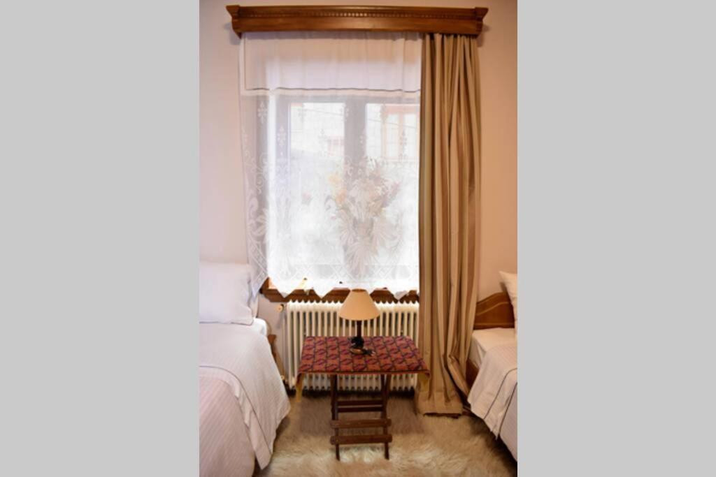 Eufrosini Guesthouse Metsovo Eksteriør billede
