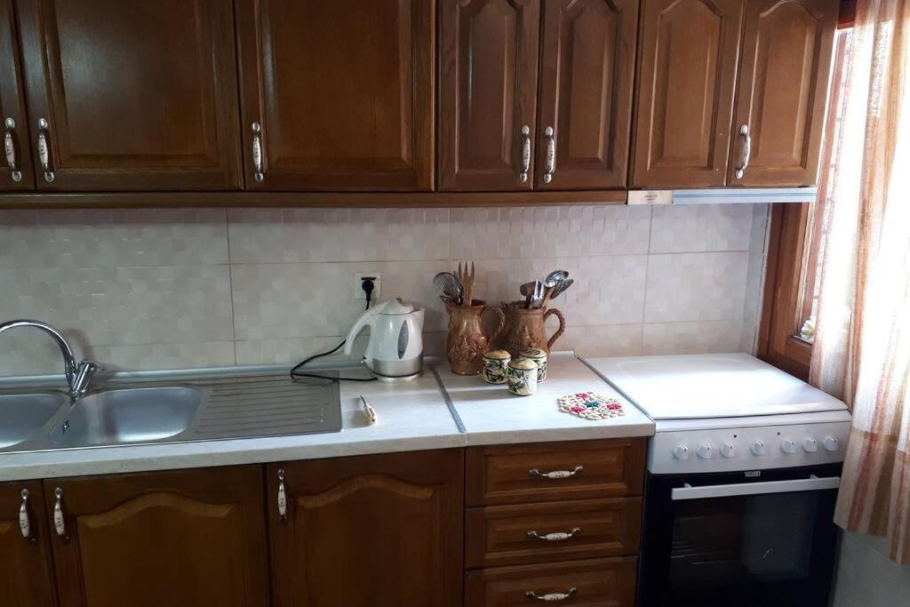 Eufrosini Guesthouse Metsovo Eksteriør billede