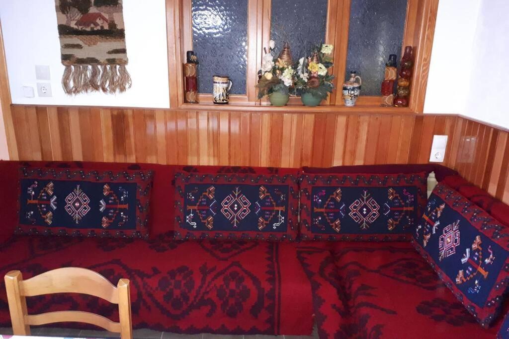 Eufrosini Guesthouse Metsovo Eksteriør billede